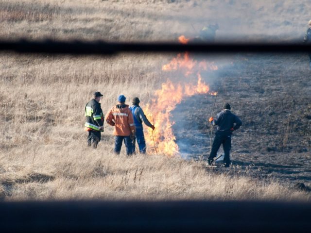 postacie męskie, w tym strażak gaszący pożar pola traw