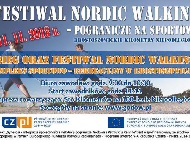 plakat festiwal nordic walking