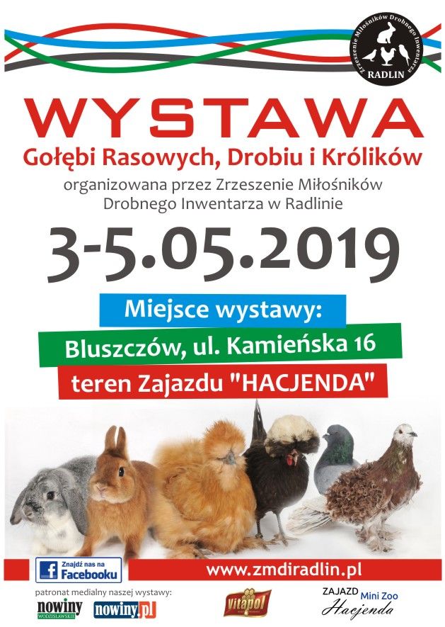plakat wystawa gołębi rasowych, drobiu i królików