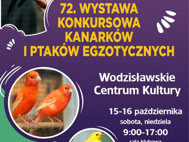 Plakat - wystawa kanarków i ptaków egzotycznych w wodzisławskim Centrum Kultury