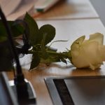 Biała róża leży na biurku.