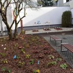 Widok ogólny na ogród zainstalowany na dziedzińcu wewnętrznym szkoły - część kolejna